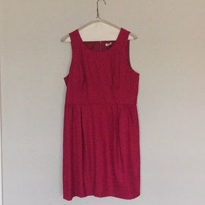 J Crew Dress